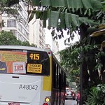 Francisco-Barbosa-bus